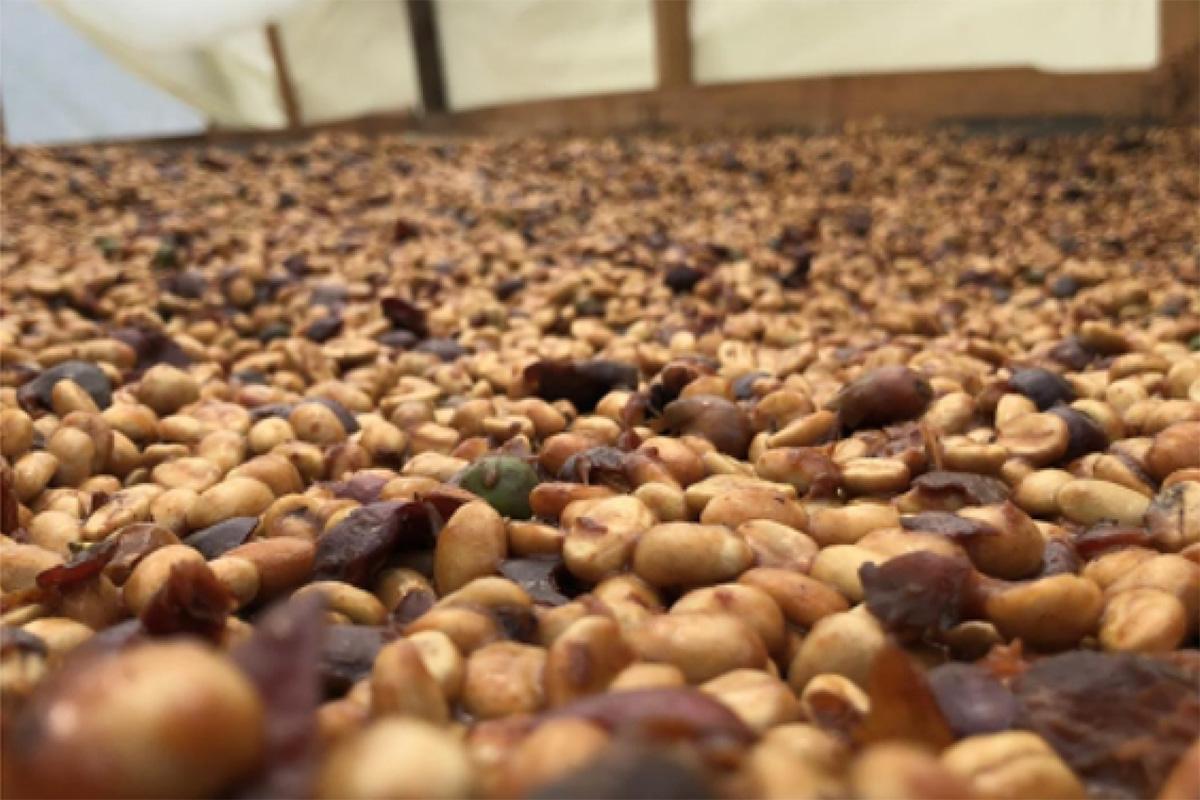 Guatemala – Joyabaj - Imagen 5