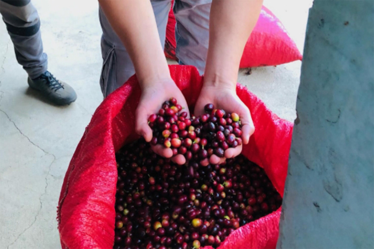 Guatemala – Joyabaj - Imagen 4