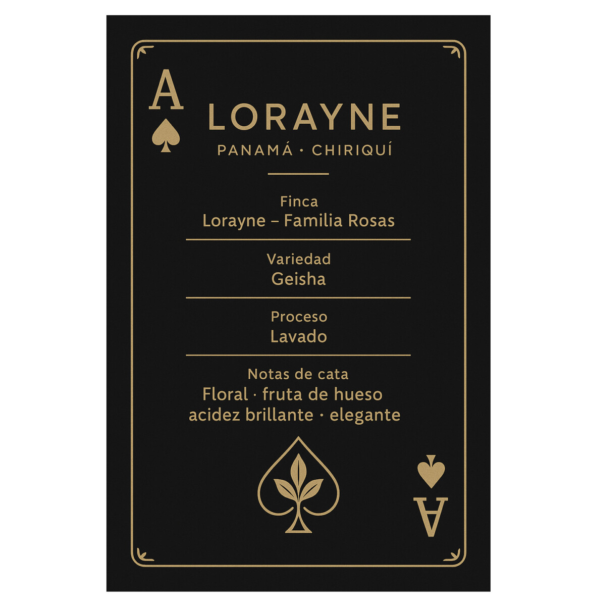 Panamá - LORAYNE
