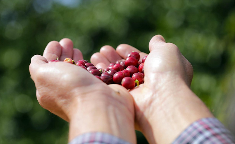 Brasil - Malhada - Imagen 4